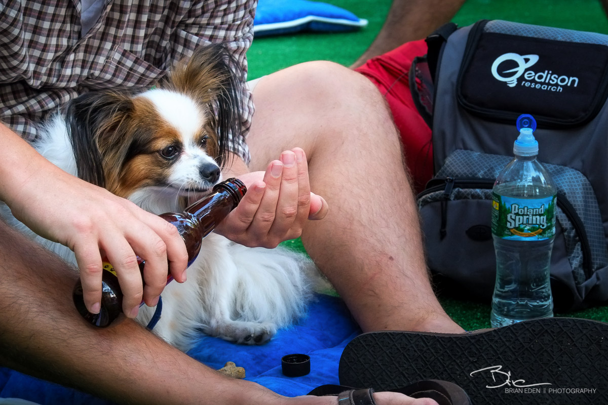 BarkBox's Dog "Beer." 