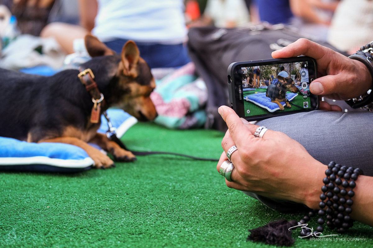 BarkBox_Barkfest_2014-5.jpg