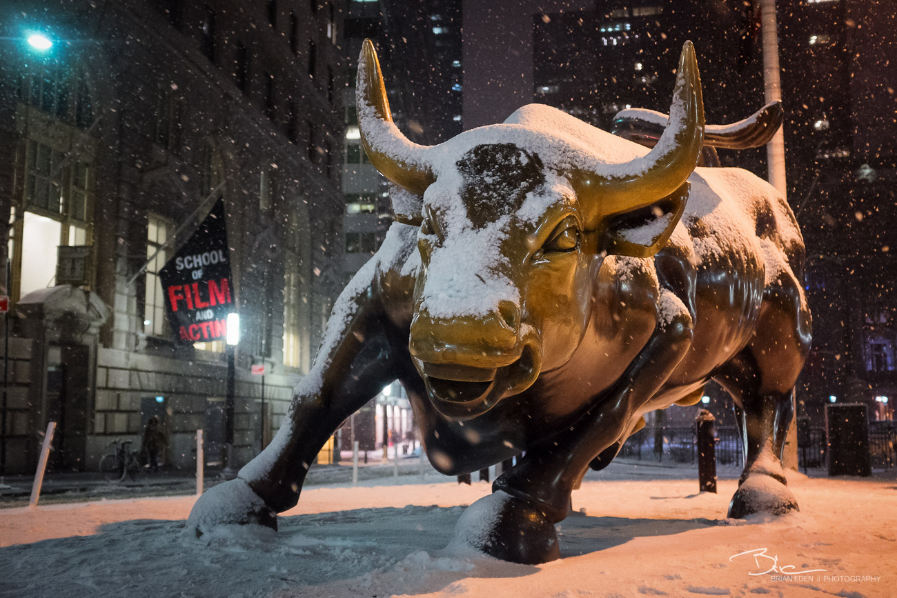 The Charging Bull Statue at Bowling Green