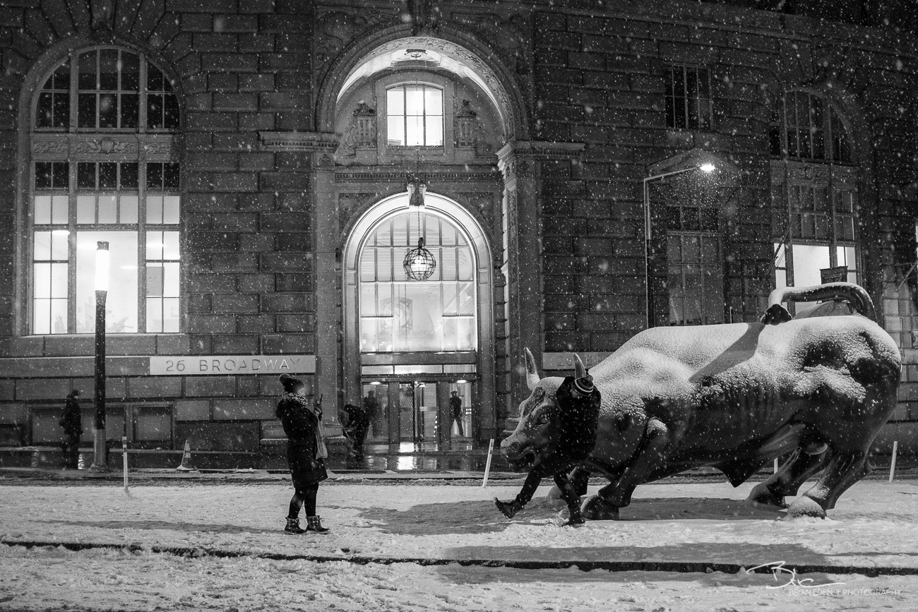 The Charging Bull Statue at Bowling Green