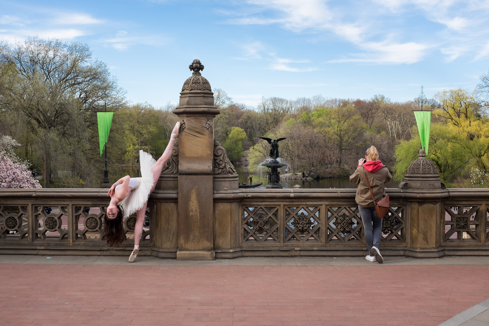 "Tough crowd" April, 2015, Central Park, NY Fujifilm X100s, f/8, 1/240, ISO 400