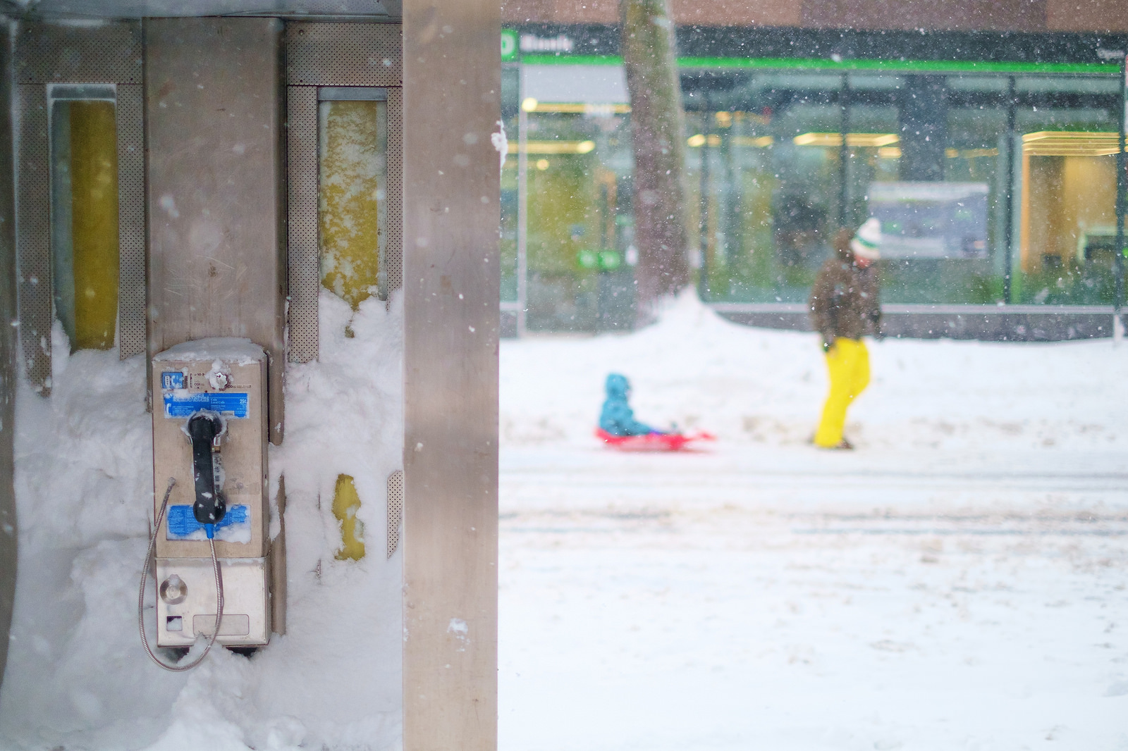 "Calling for snow" January, 2016. Carroll Gardens, Brooklyn Fujifilm XPro1, 35mm, f/1.4, 1/2000, ISO 640