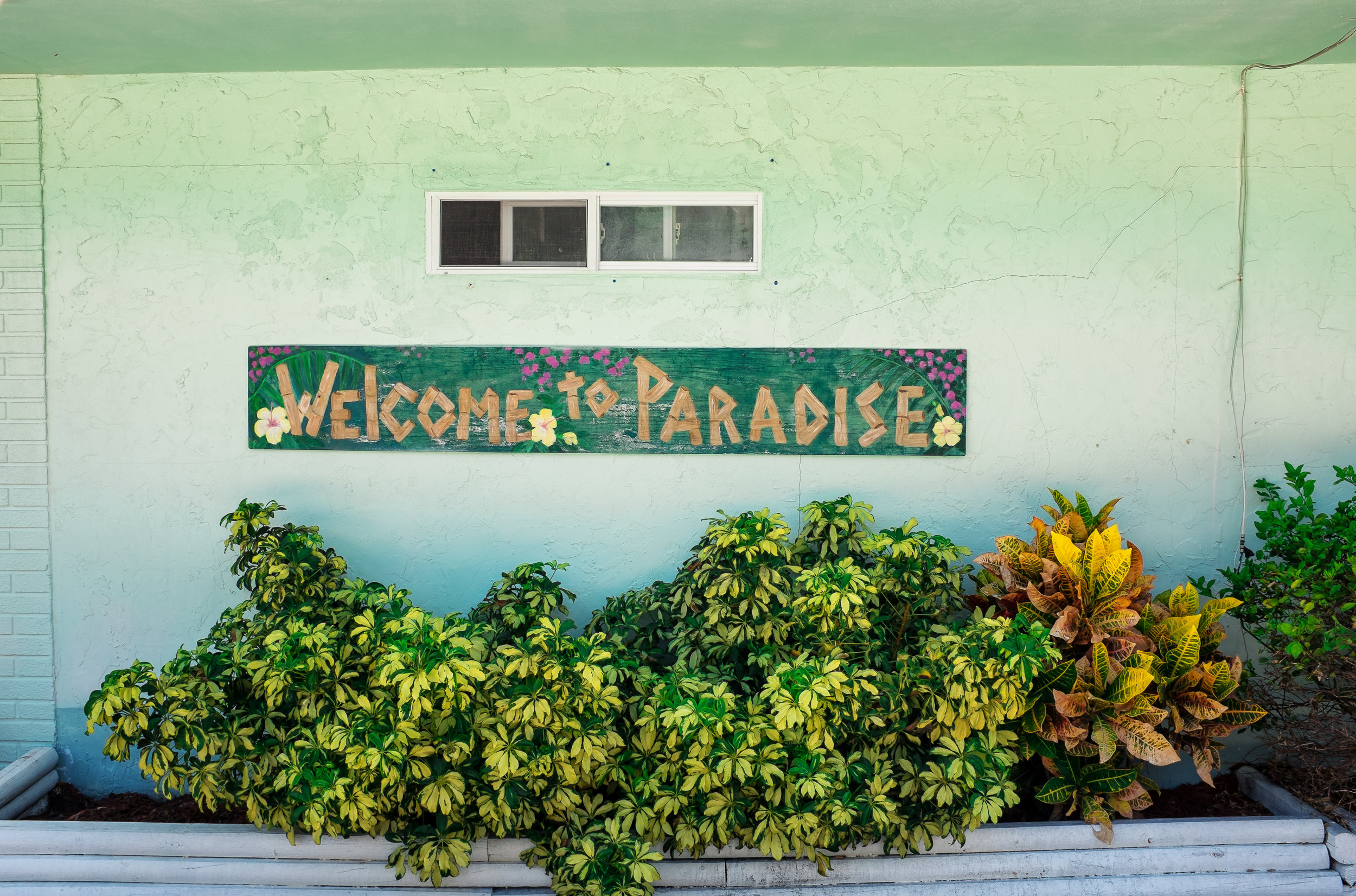 Welcome to Paradise