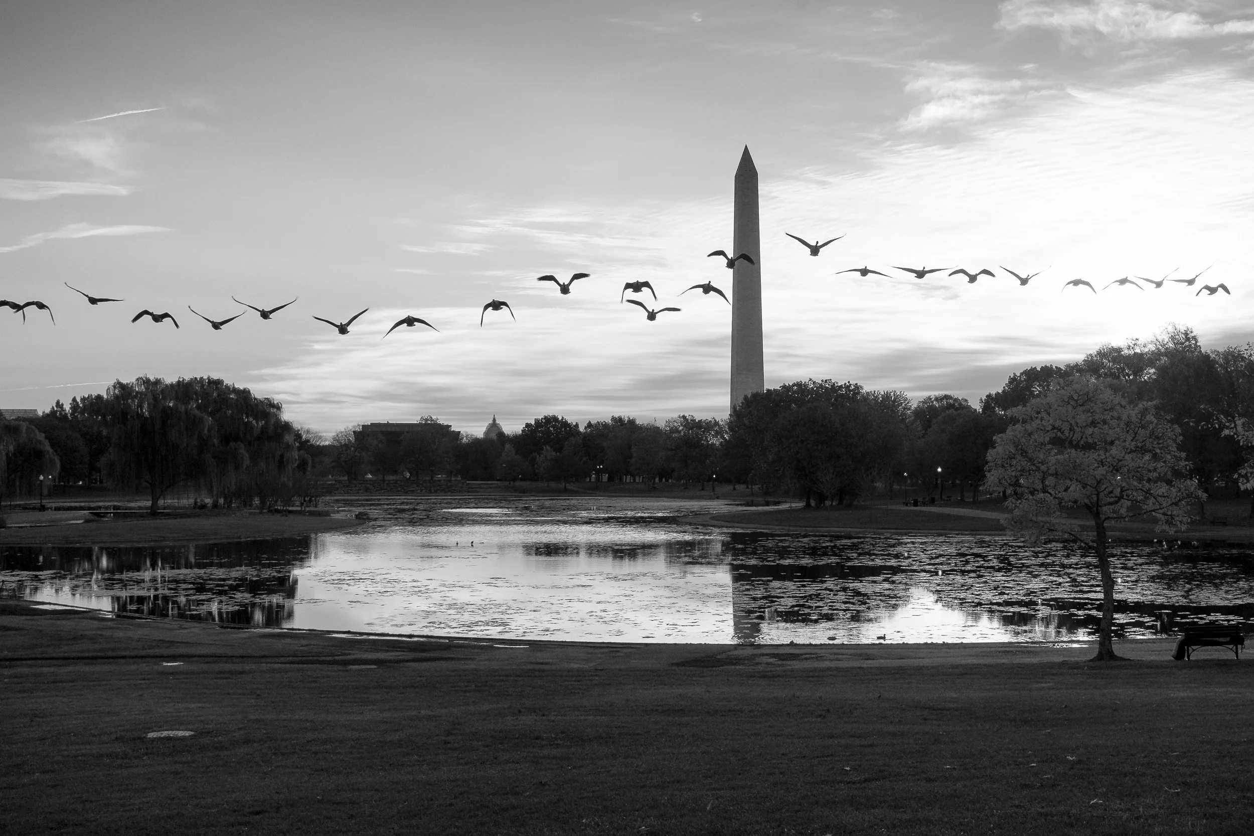 The flock and the monument