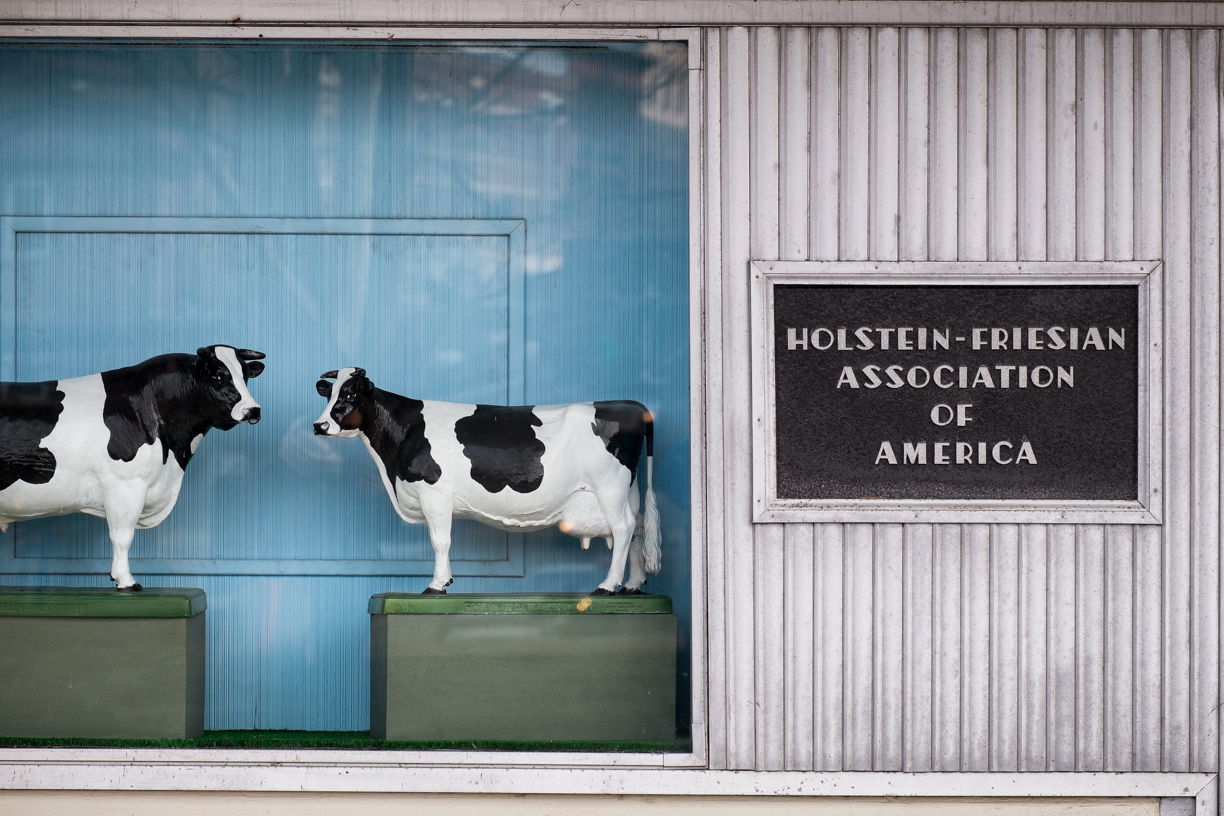 Holstein Association