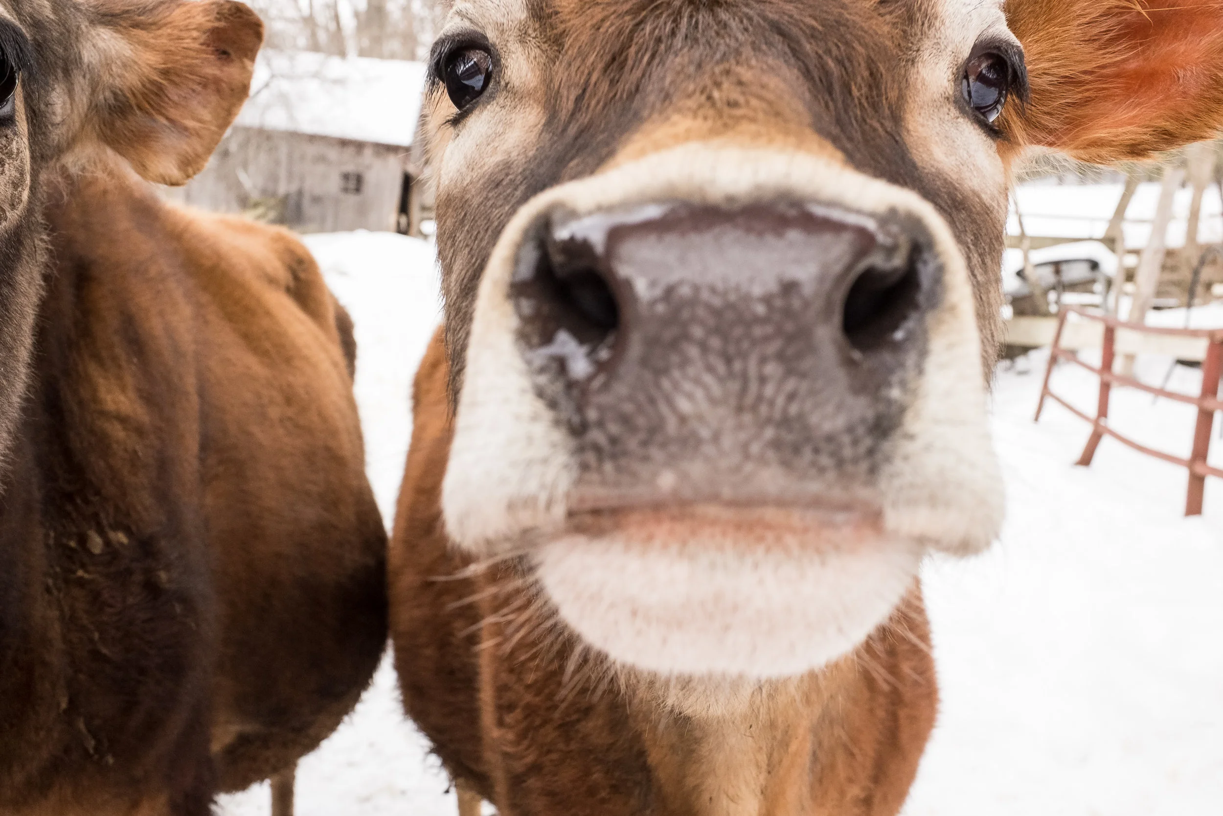 Pucker up