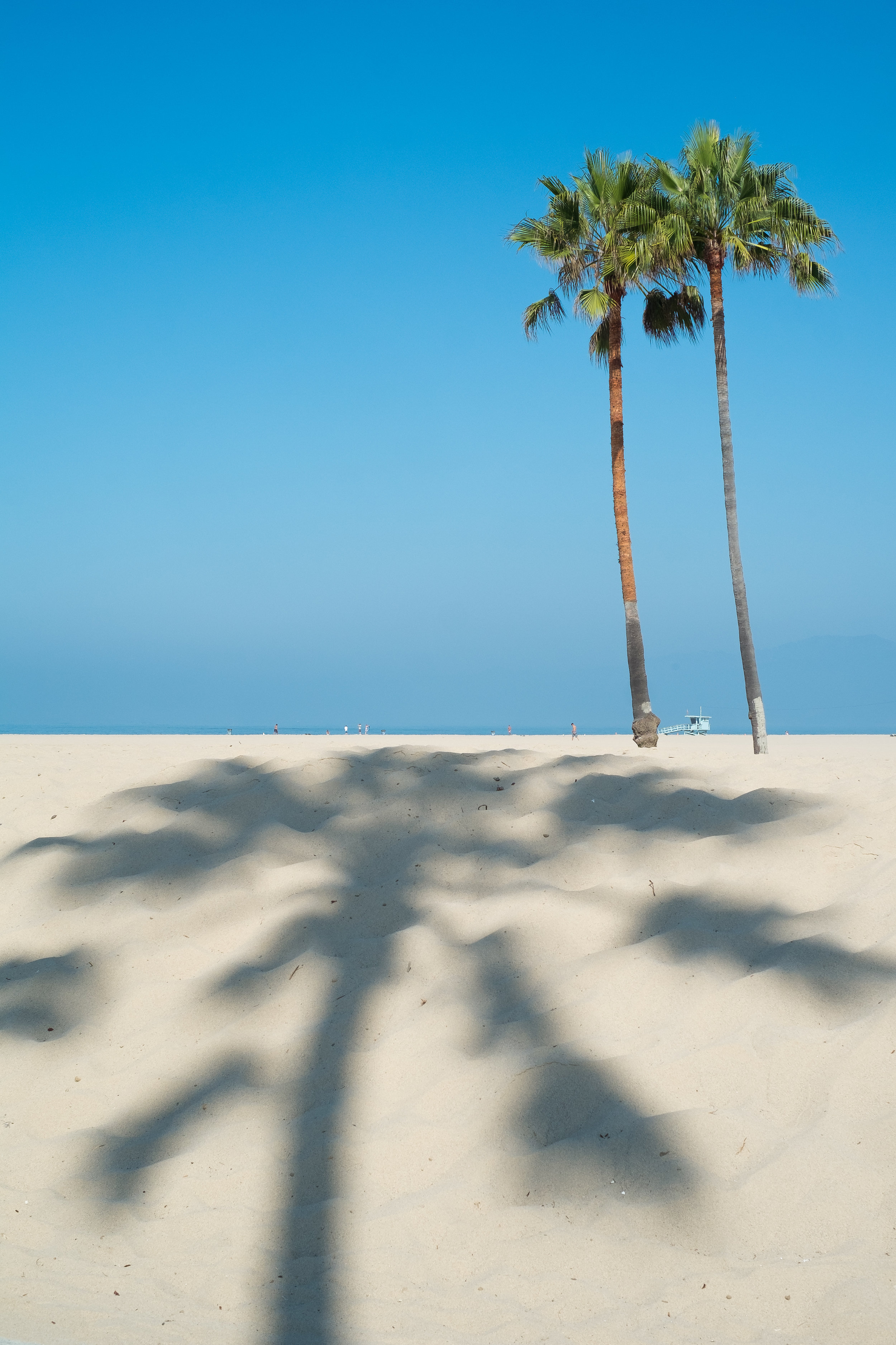  Venice Beach. August, 2016 