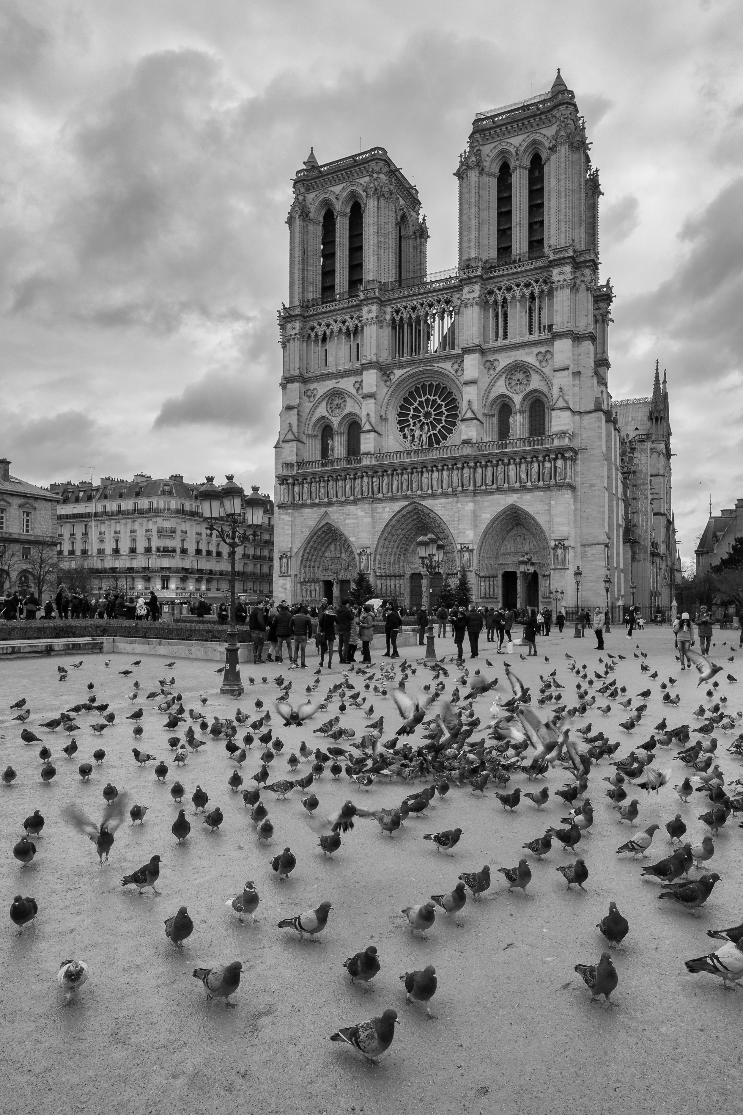  Notre Dame, Paris. January, 2017 