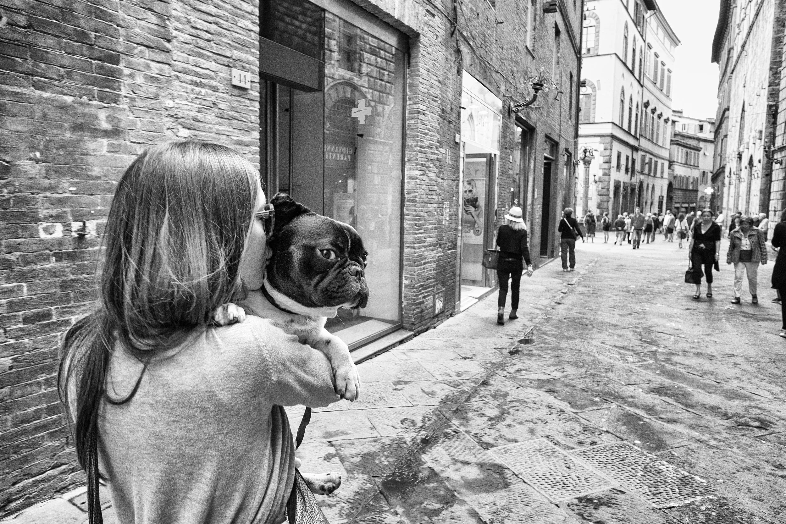 Siena. June, 2013