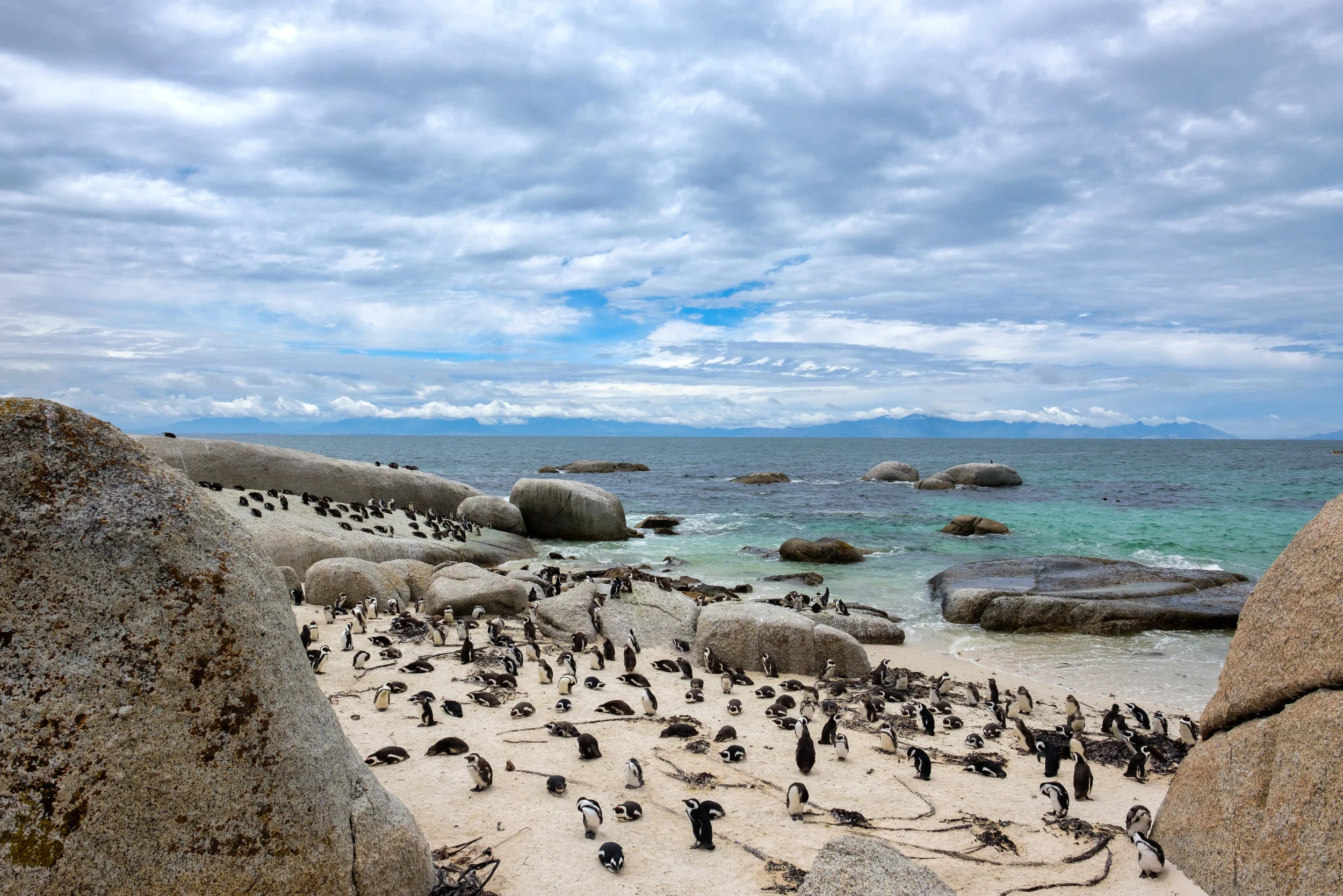 Boulders Beach. November, 2017