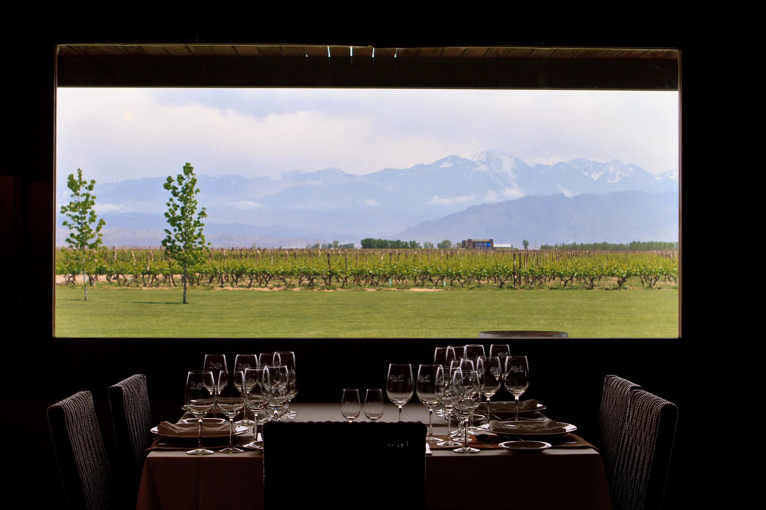 Ruca Malen Vineyard. Mendoza. October, 2010