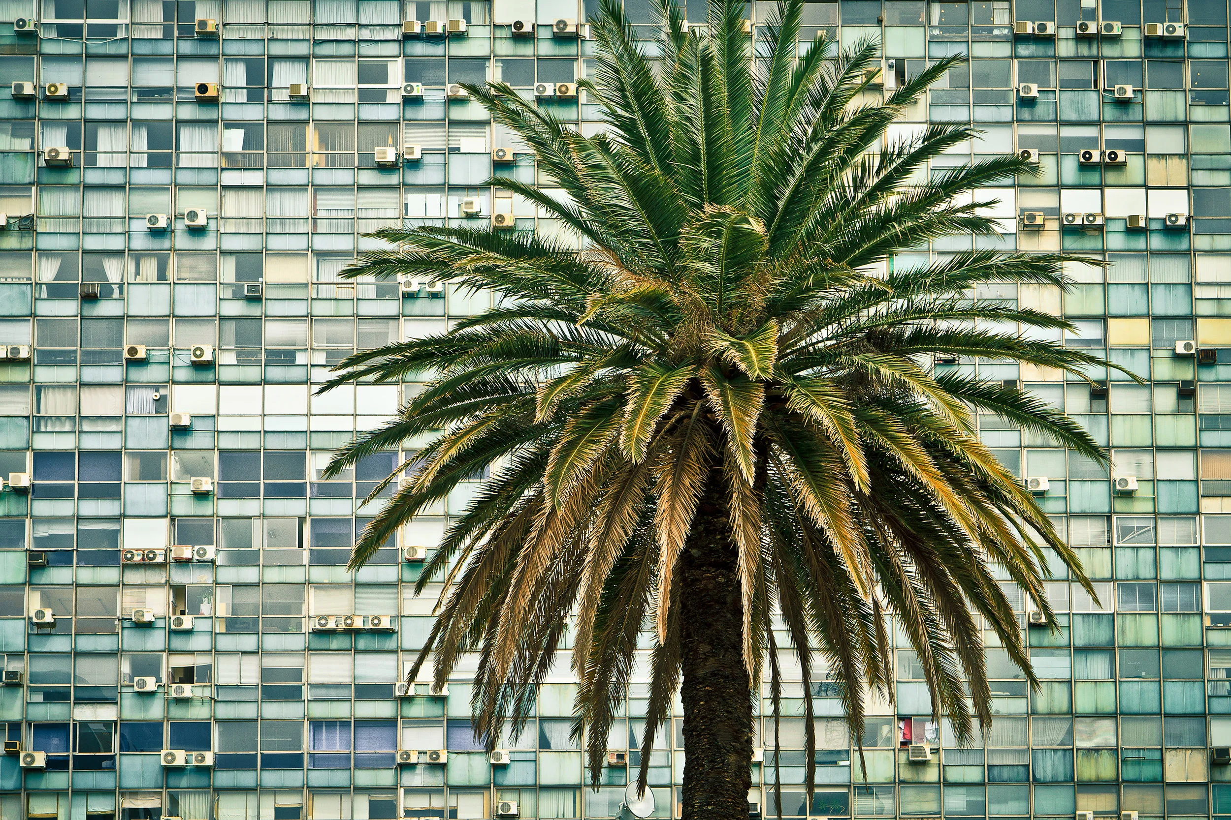 Montevideo. November, 2010