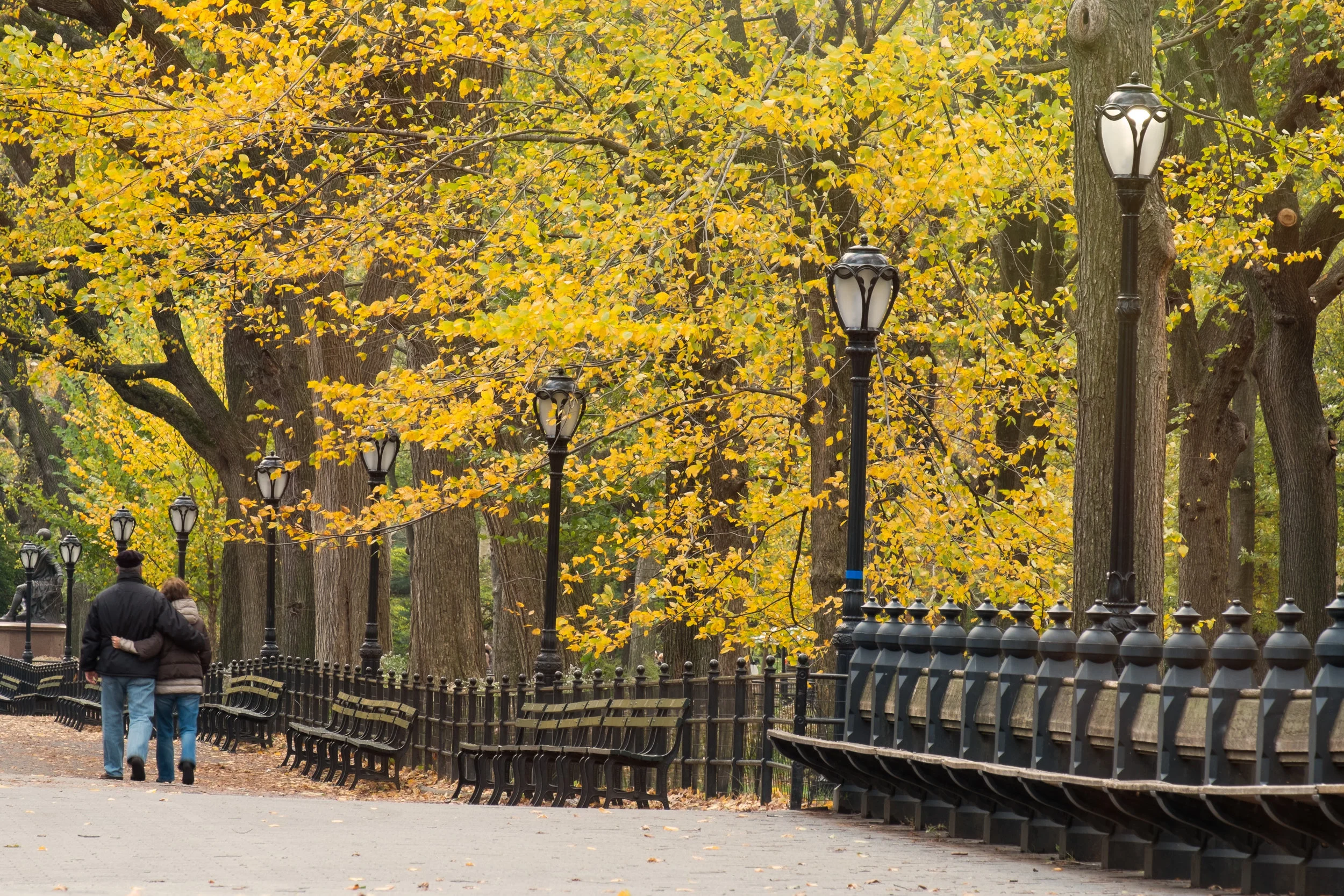 Central Park, New York. 2014.