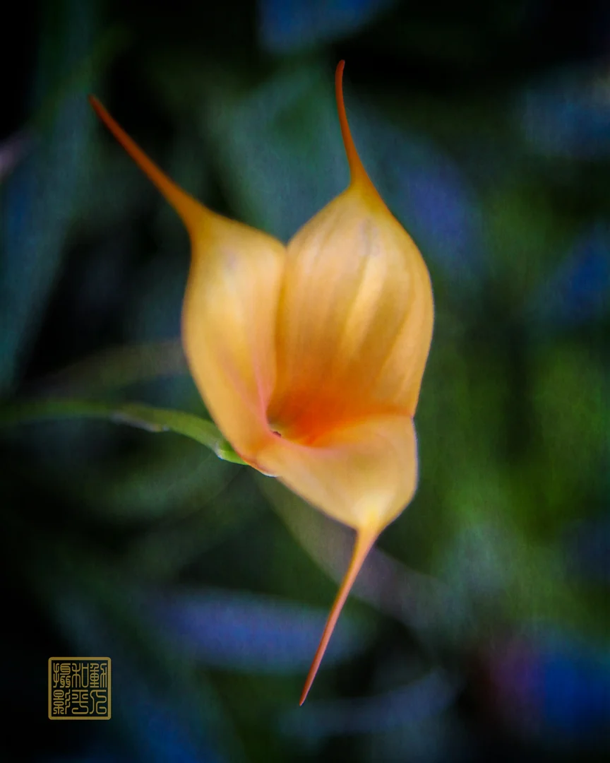 IMG_3348-Edit.jpg