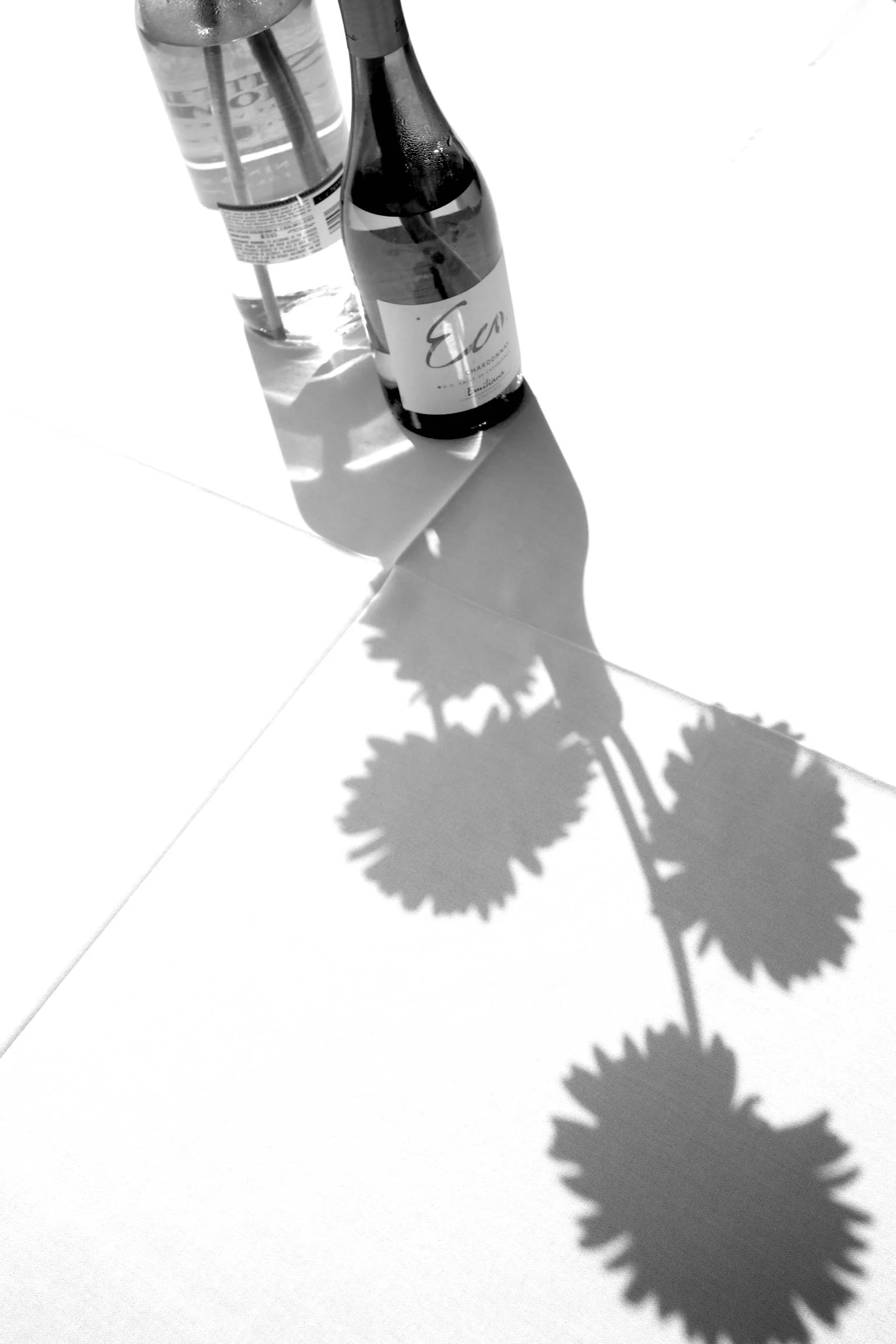 100OLYMP_P9210443 - Version 2.jpg