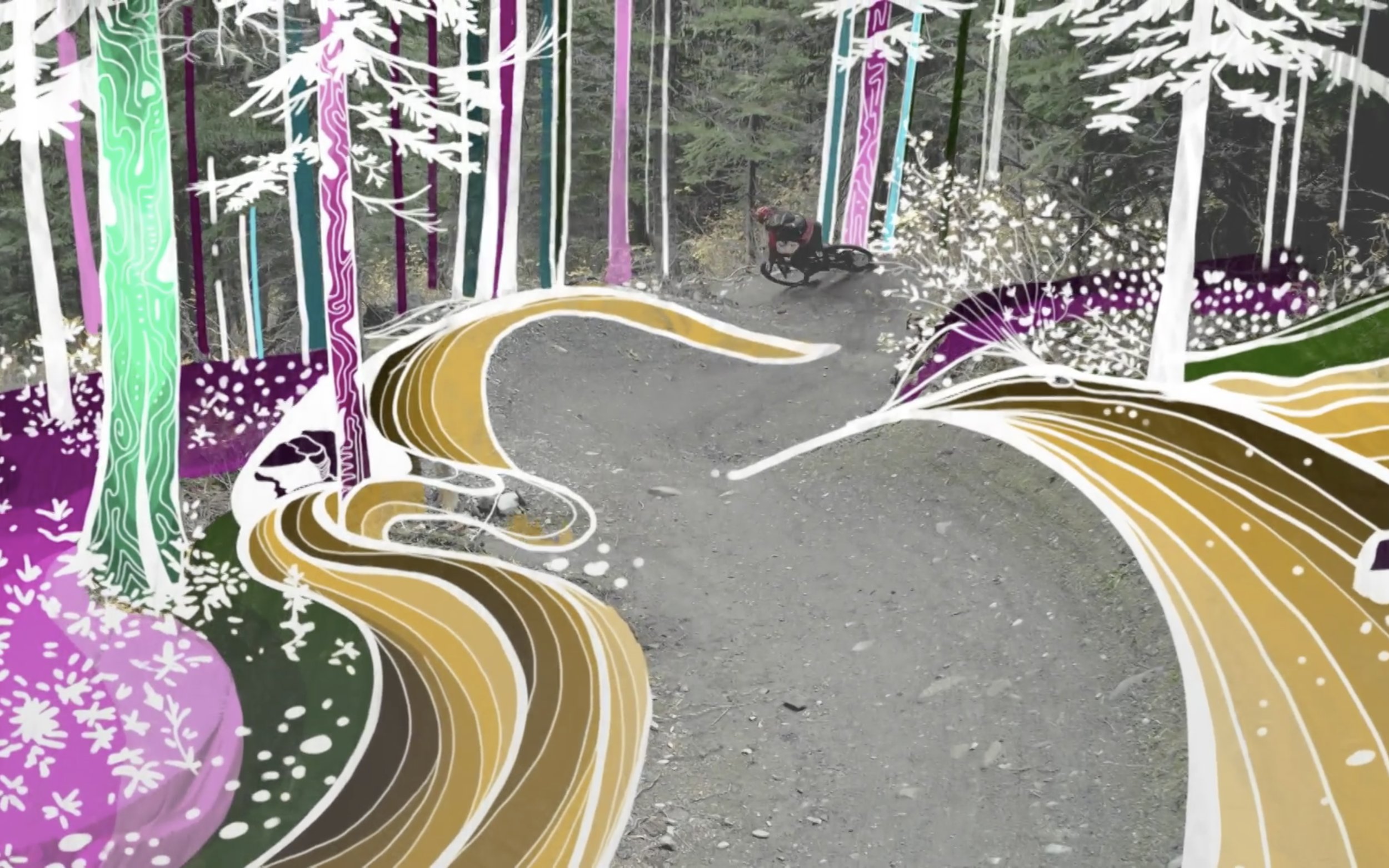 Mountain Bike Meets Painting: Micayla Gatto's Intersection