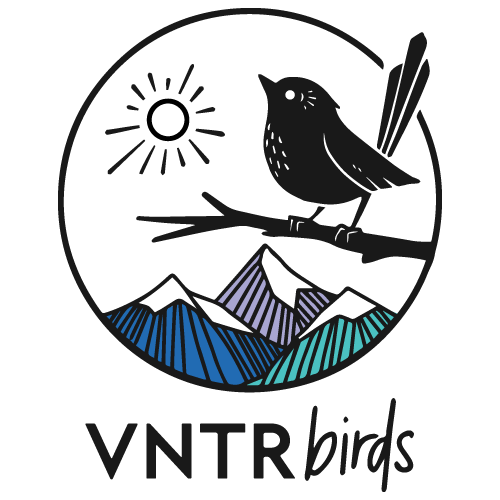 VNRTbirds-Logo-V1-500x500 - VNTRbirds.png