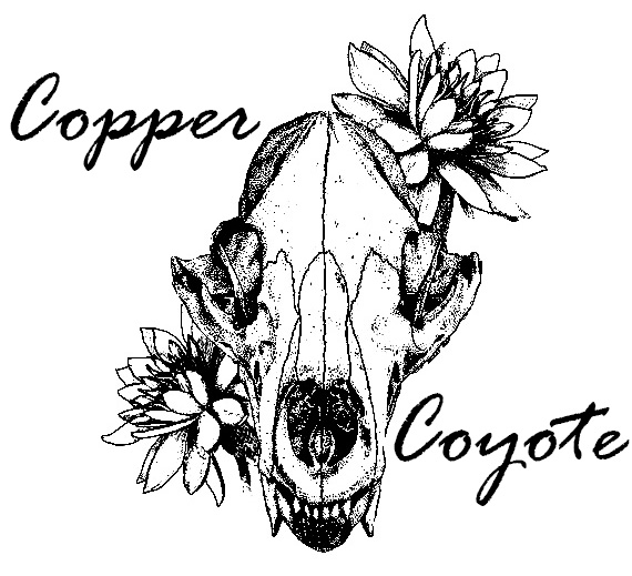 Copper Coyote Studio.png