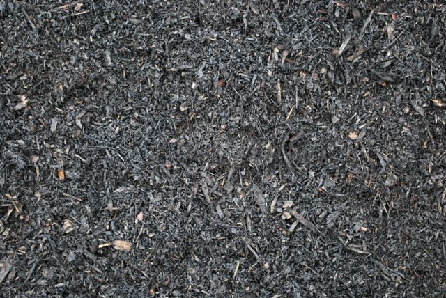 Black Mulch.jpg