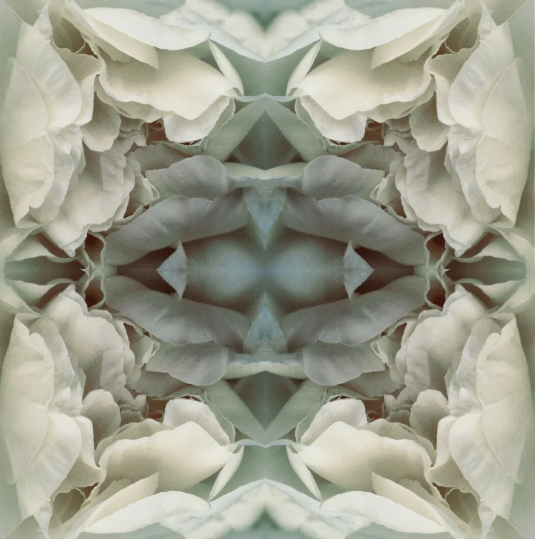 Green Peony 1.1.jpeg