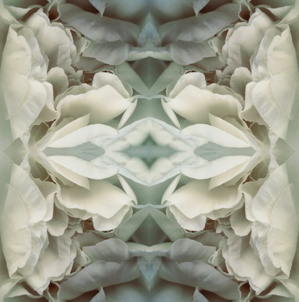 Green Peony 2.1.jpeg