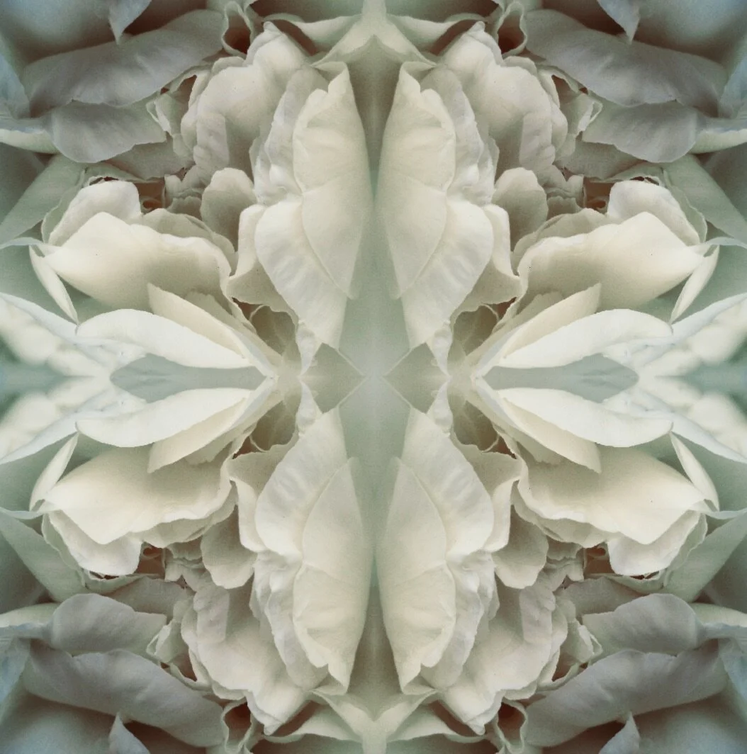 Green Peony 3.1.jpeg