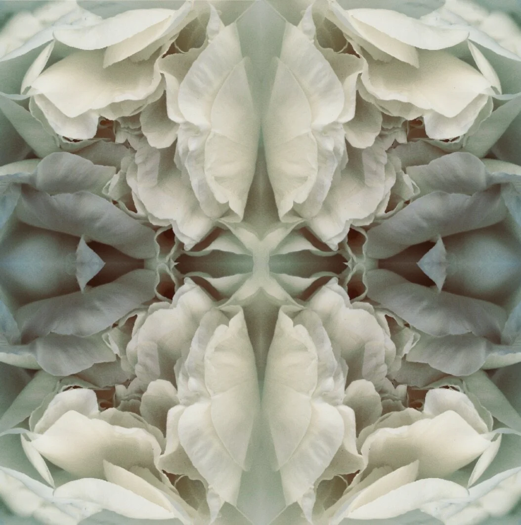 Green Peony 4.1.jpeg