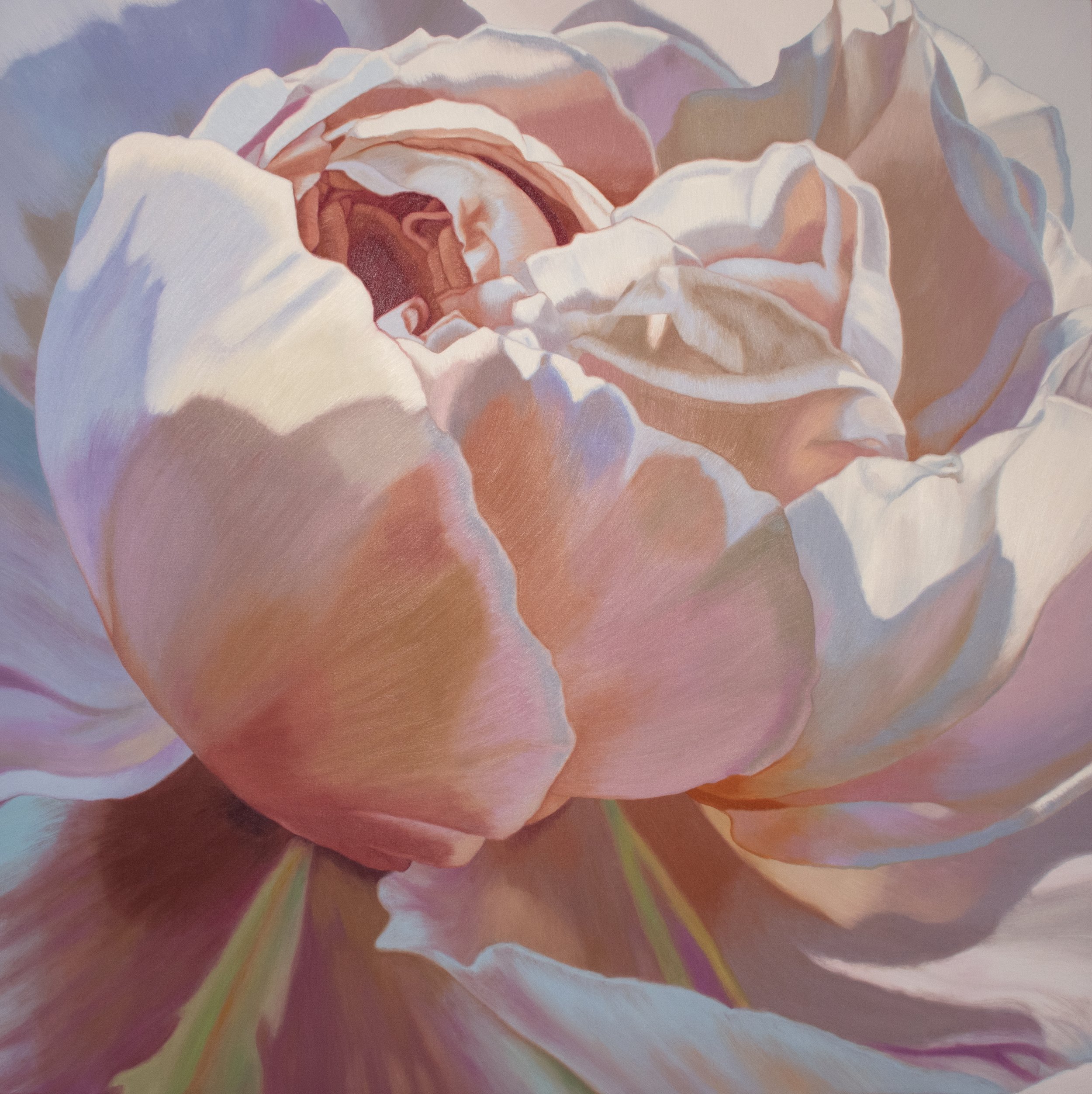 CHLOES ROSE-48X48X2.5-OIL ON CANVAS-2020-5390.jpg