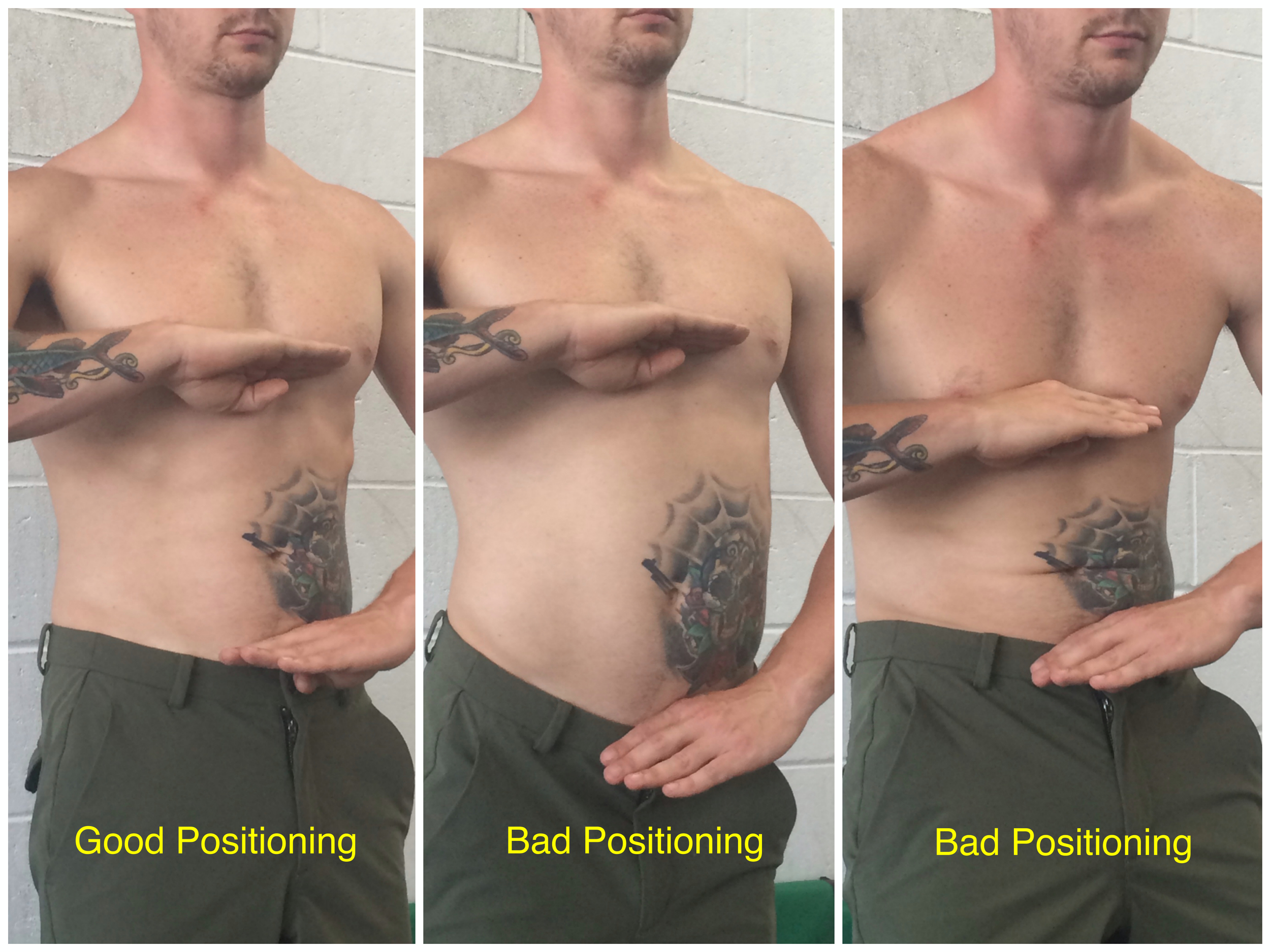 Psoas Talk with Christye — Human Performance Blog · Volt Athletics Psoas Talk with Christye — Human Performance Blog · Volt Athletics