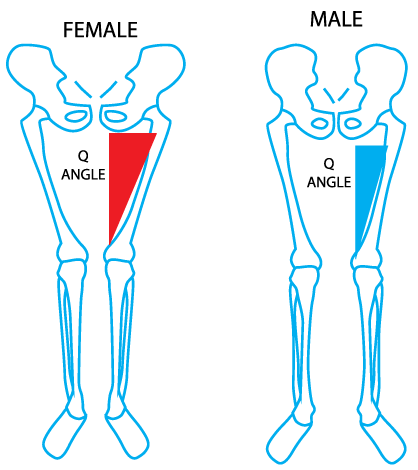 A greater Q angle places more stress on the patella, as the muscles of the hip and thigh pull at a more oblique angle.