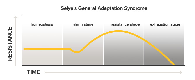 The G.A.S. theory. Notice how the body develops the most resistance (adaptation) during the beginning of the "Resistance Stage," and how it plummets during the "Exhaustion Stage." Rest is a necessary mechanism to allow increased resistance (adaptation) to occur, while avoiding exhaustion.