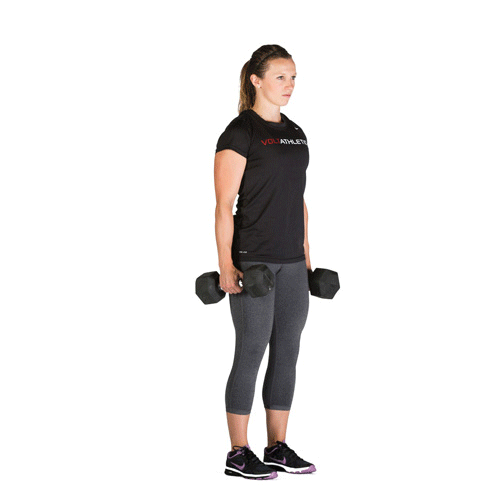 DB Single-Leg RDLs drive hypertrophy and force production of the posterior chain. 