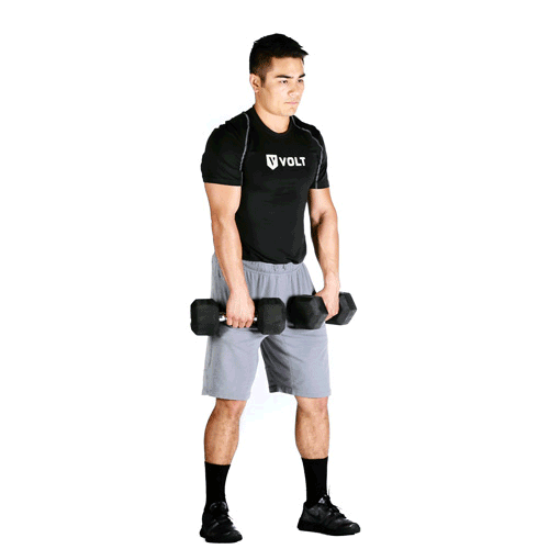 In High Pulls, notice how hip extension leads to a powerful pull, with dumbbells staying close to the body. Because the athlete doesn't have to worry about catching the weight in a High Pull, they can focus on powerful hip extension mechanics.