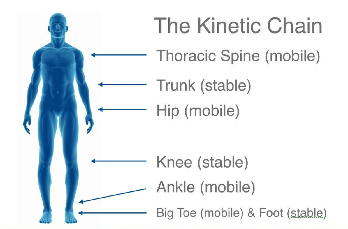 Thinking of the body as an interconnected “chain” of movement can help diagnose compensatory movement patterns and potentially avoid injury.