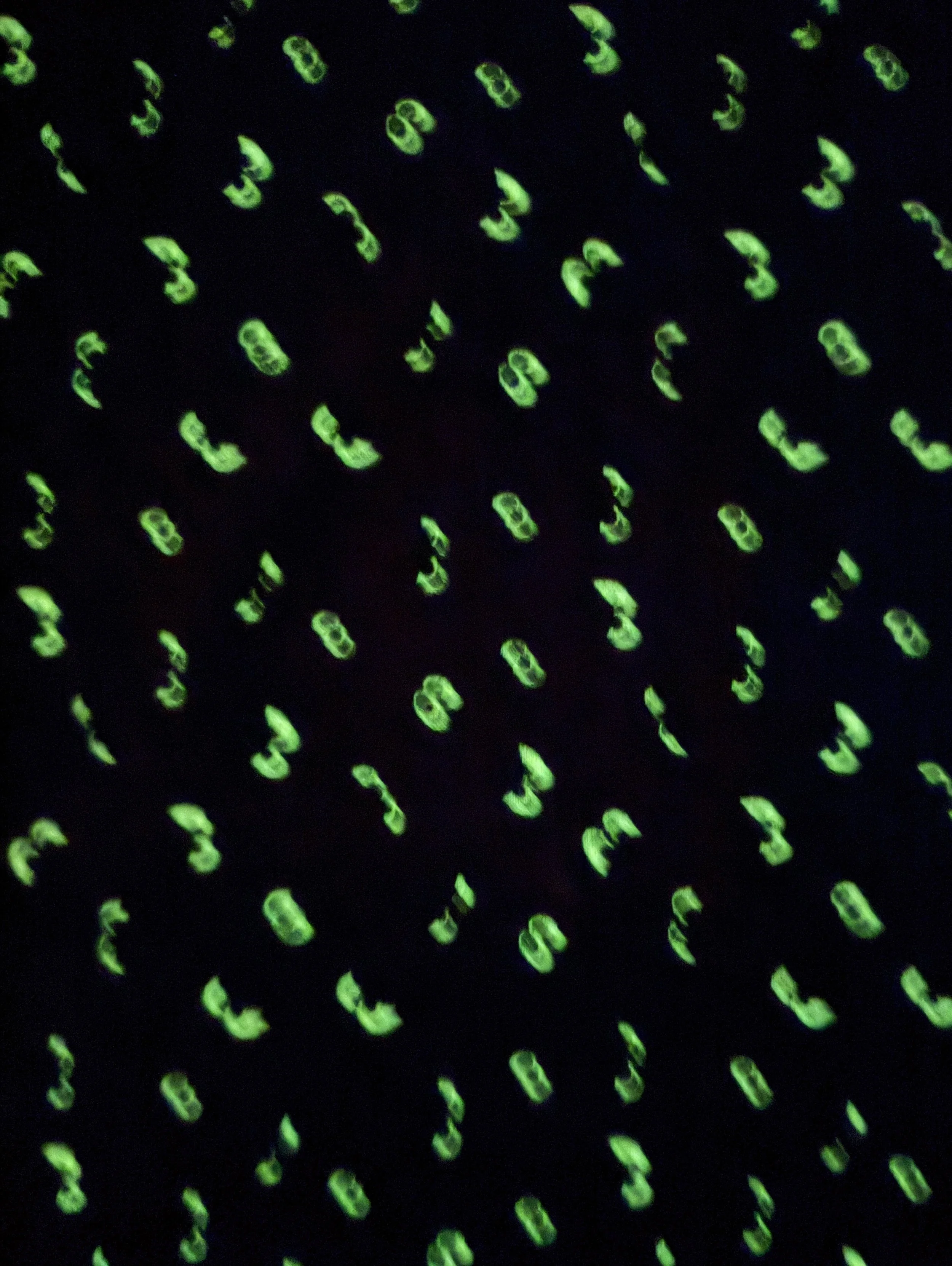 Riley Blake Spooky Hollow Eyes GC10576 is a glow-in-the-dark Halloween fabric with spooky eyes scattered across a rich eggplant purple background.