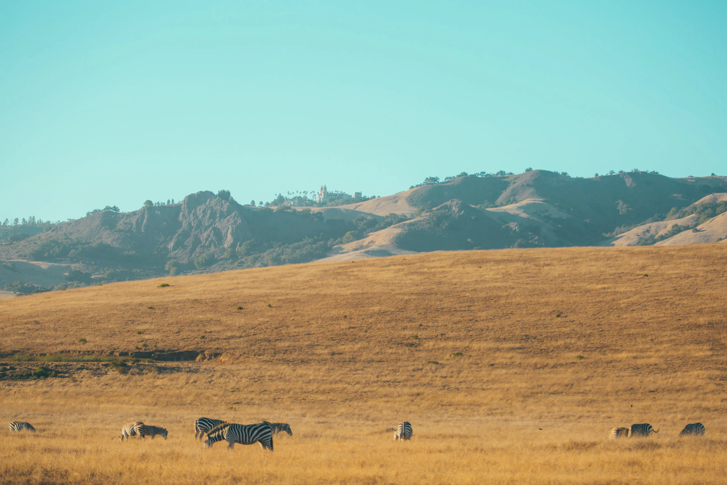 Hearst Castle.jpg