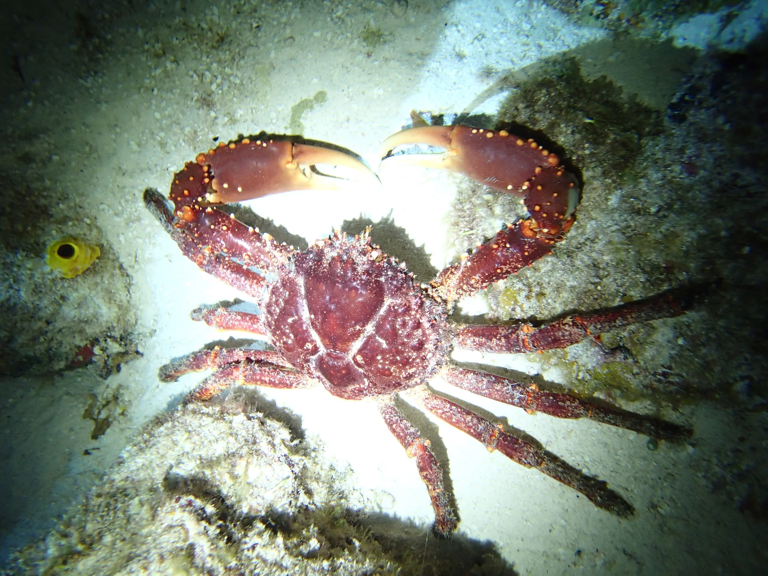 P4300710.JPG