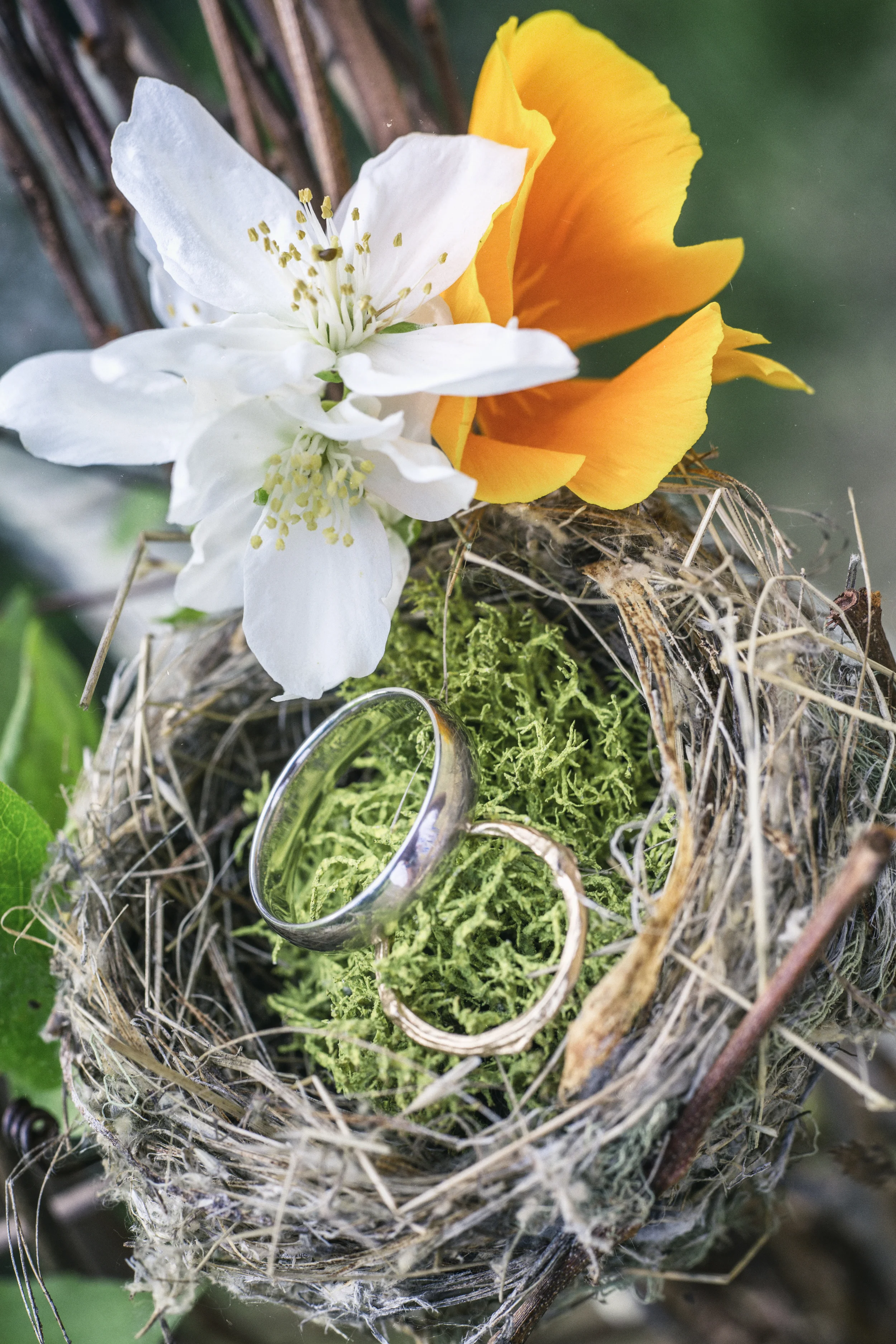 Weddirng Rings, Montana Destination Photographer