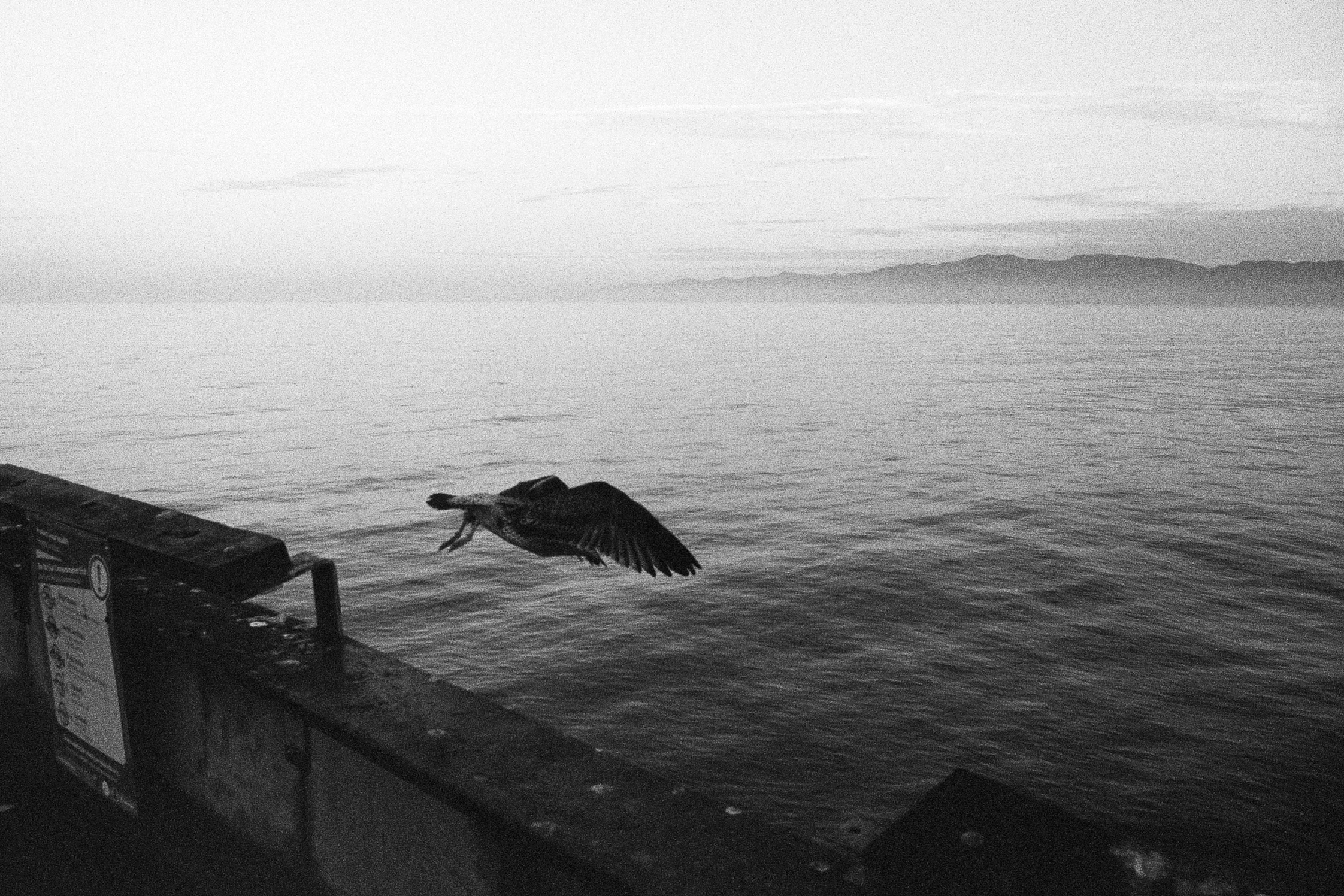 32A_00198.jpg