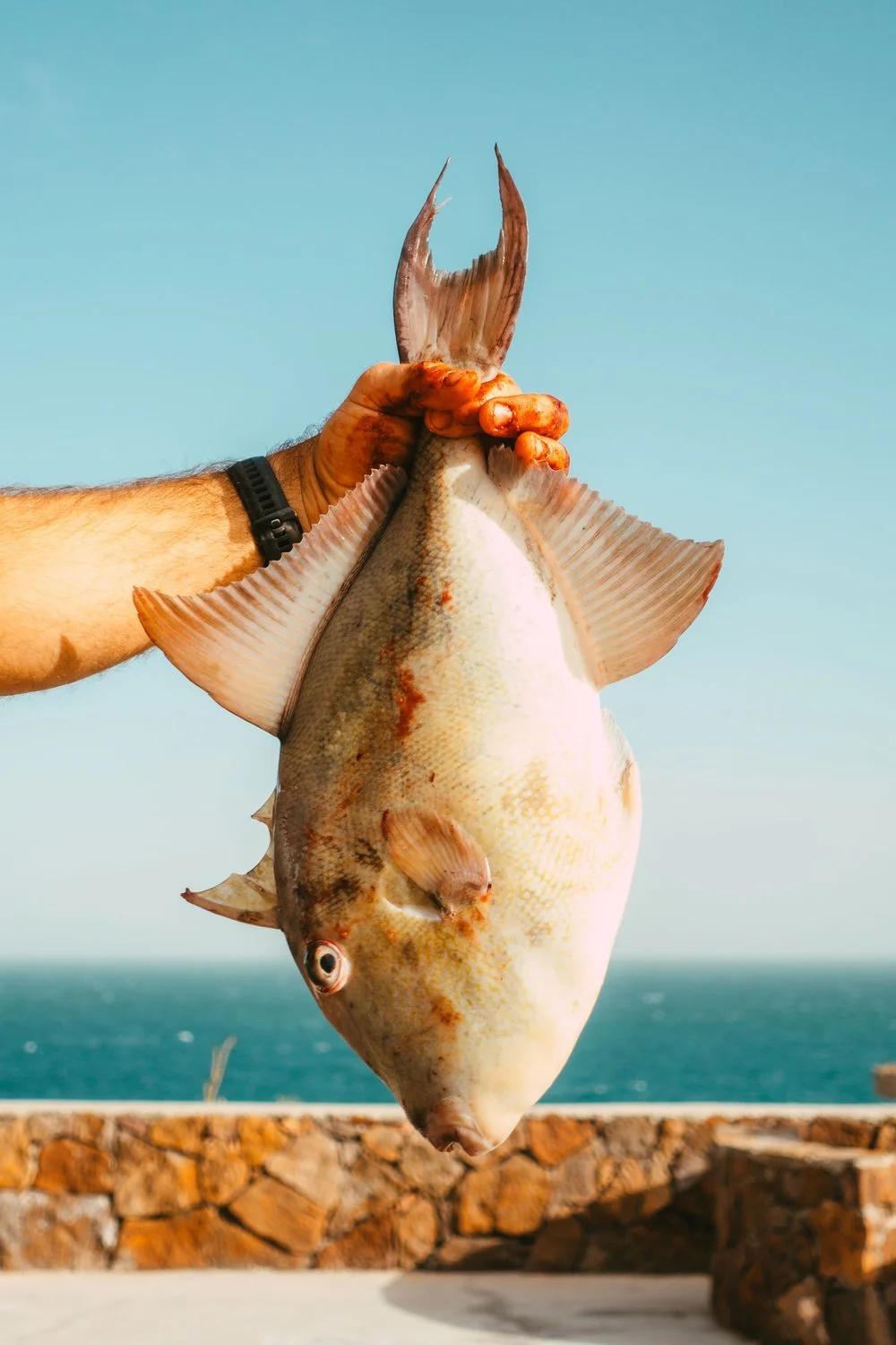 MIA03820+copy.jpg