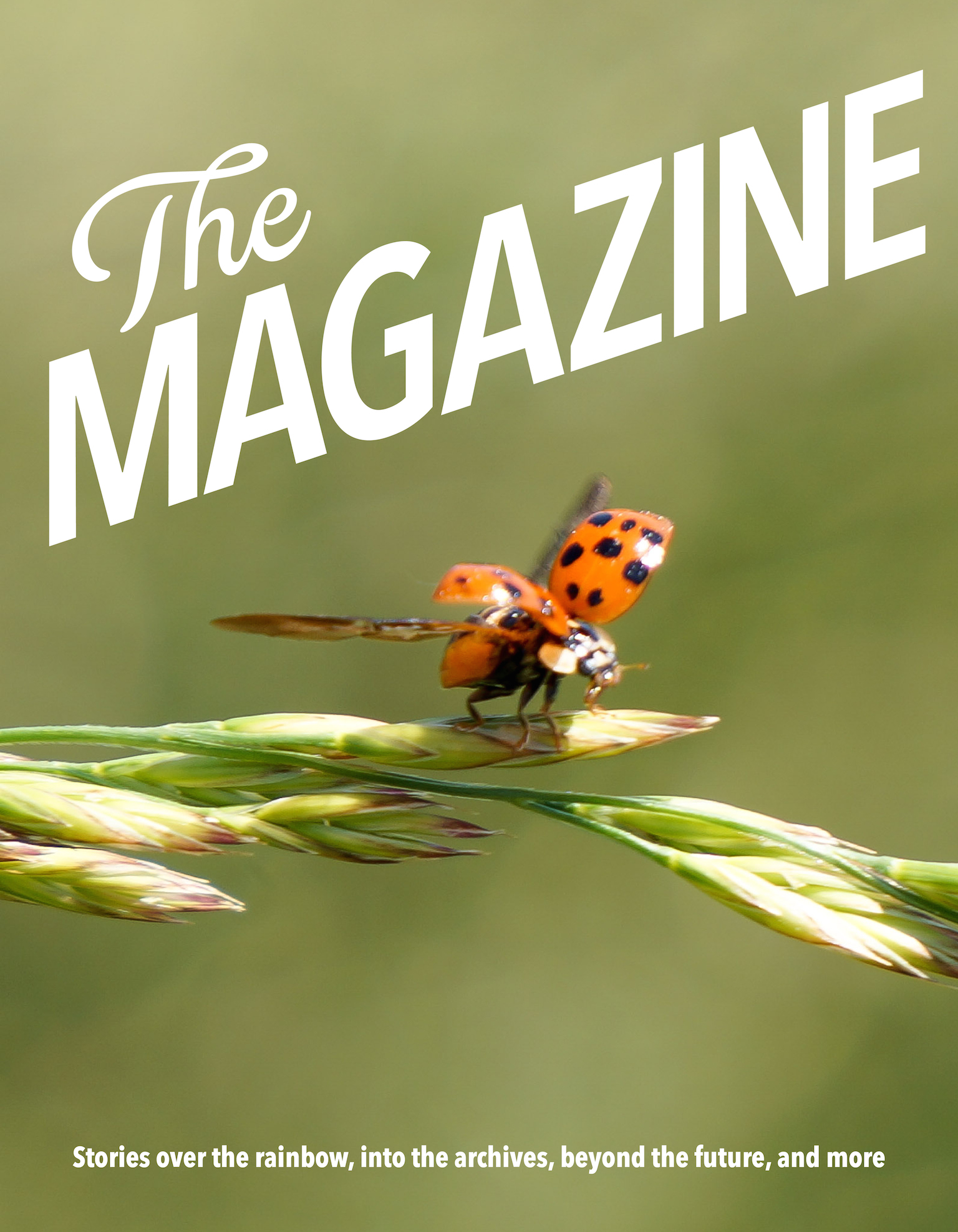 Working cover of our Year Two anthology