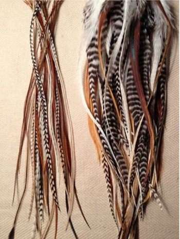 Natural colour feathers available in thin and wider options