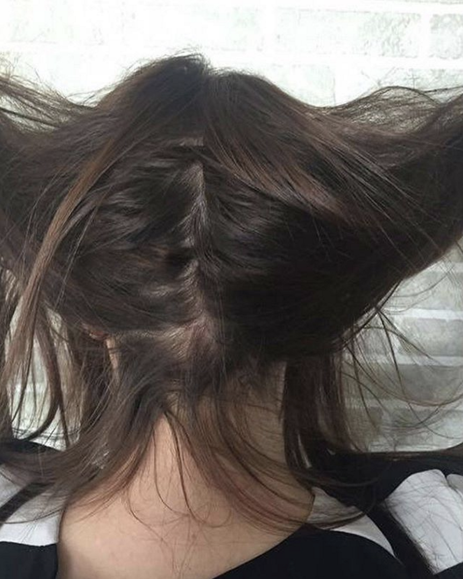 secret veil hair extensions back view.png