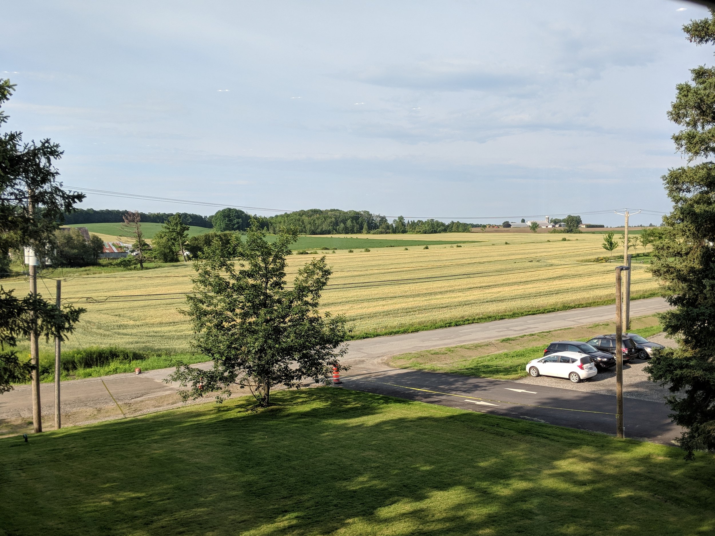 IMG_20180801_080707.jpg