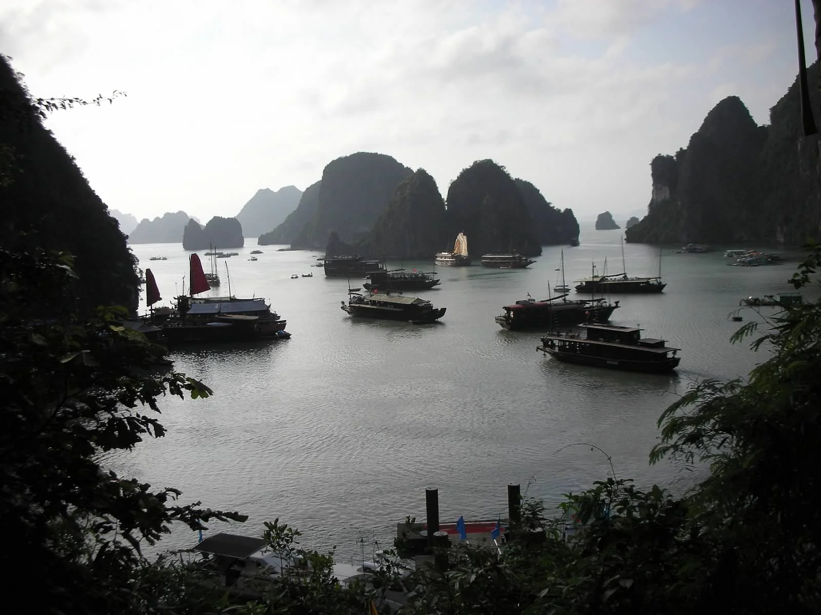 DSCN0460.jpg