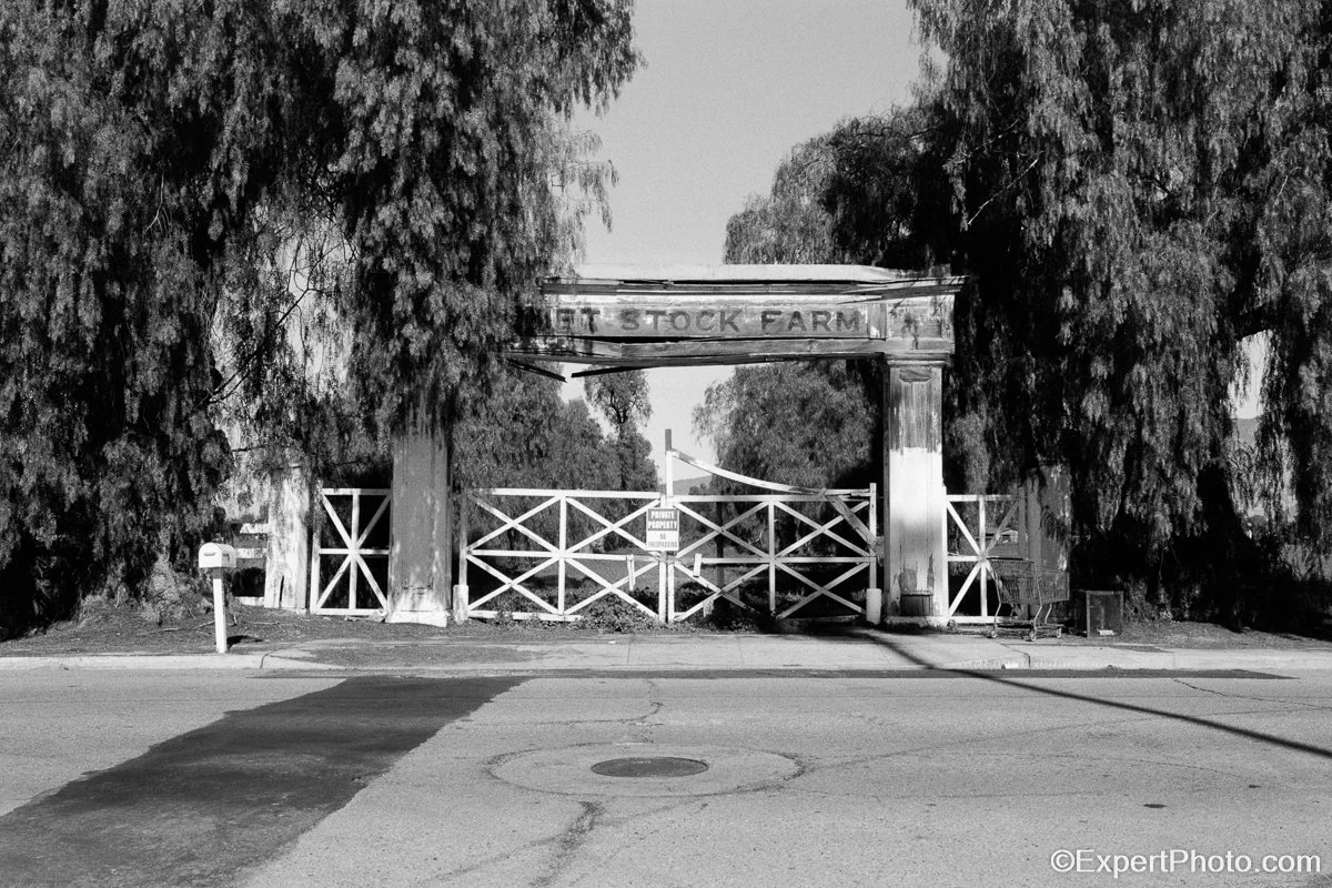 Hemet Stock Farm