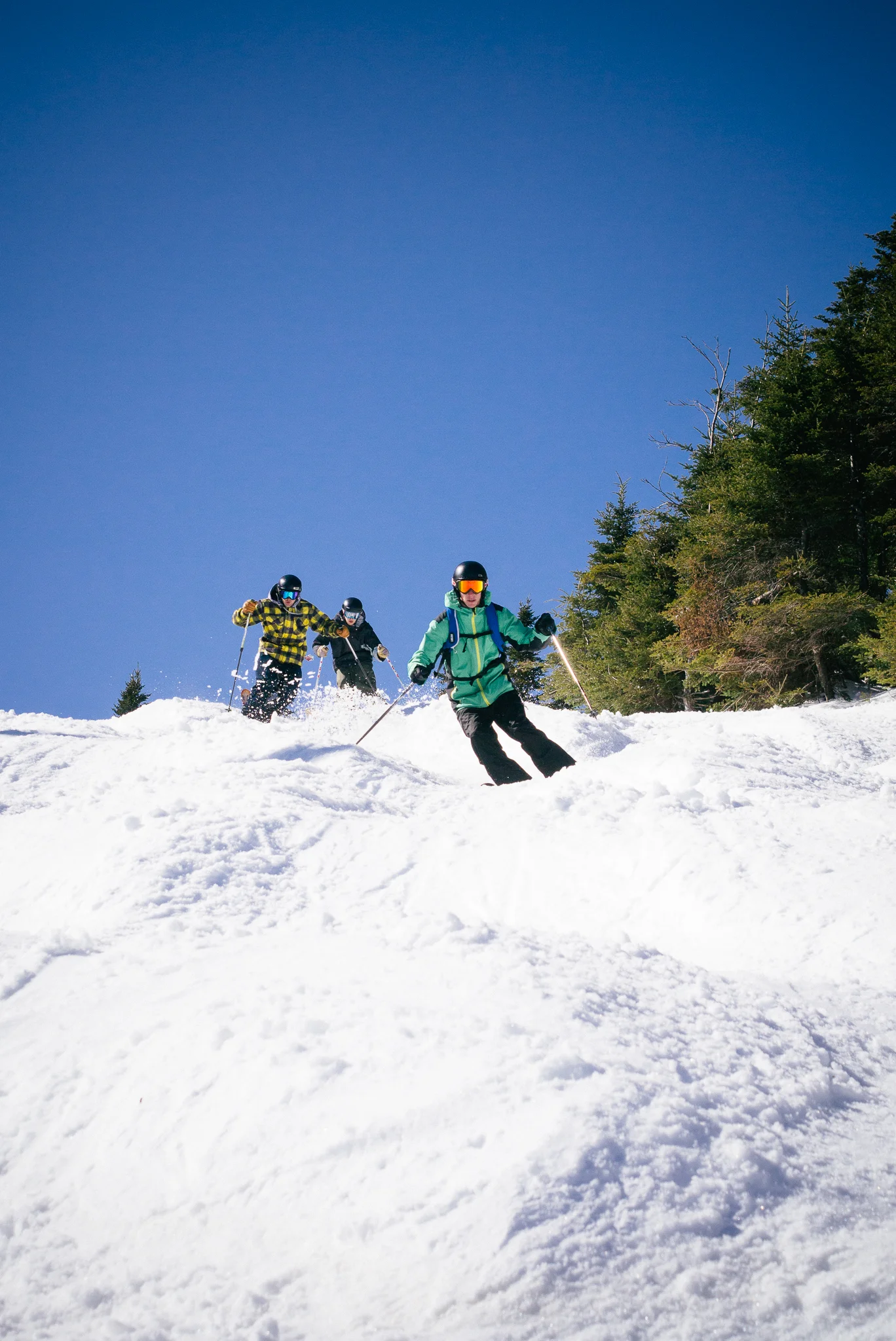 Spring Bumps