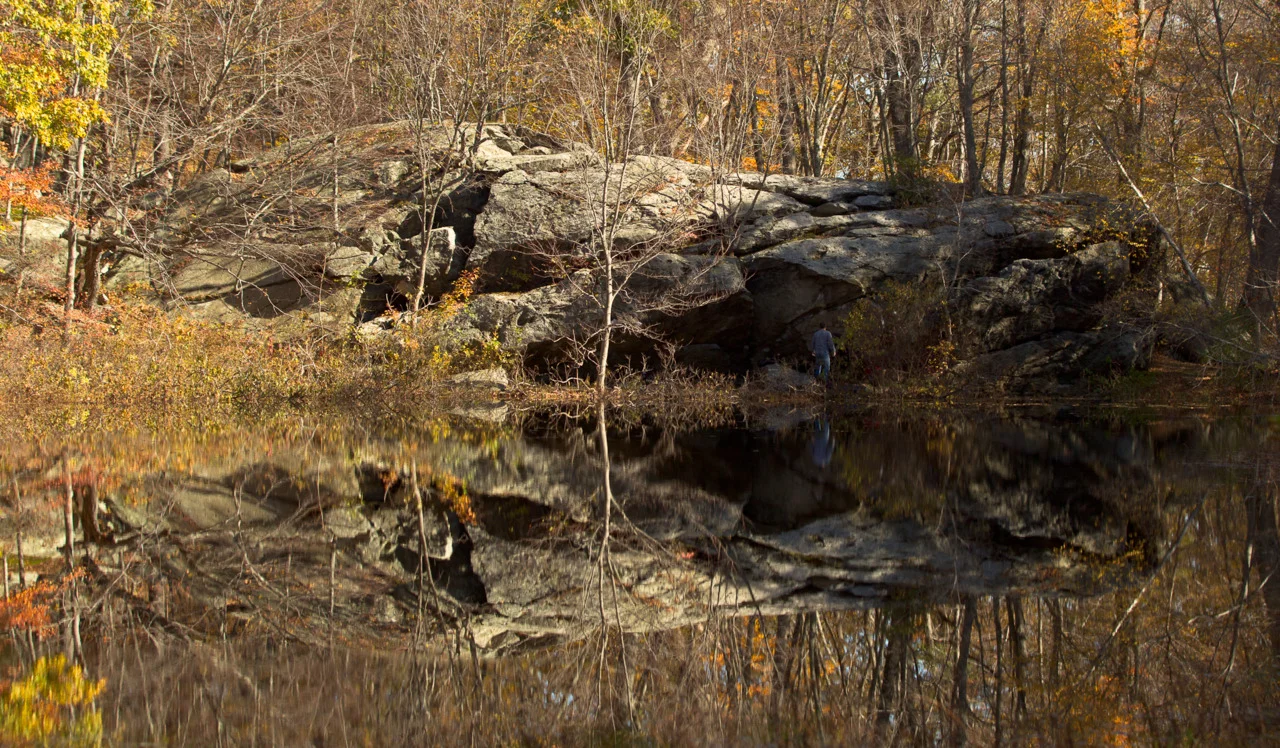 Across the pond in Lincoln Woods