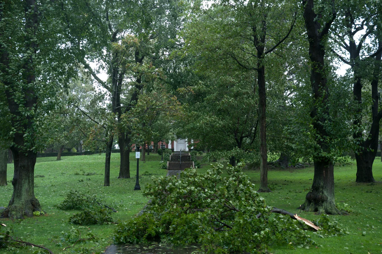 Tufts University campus following Hurricane Irene