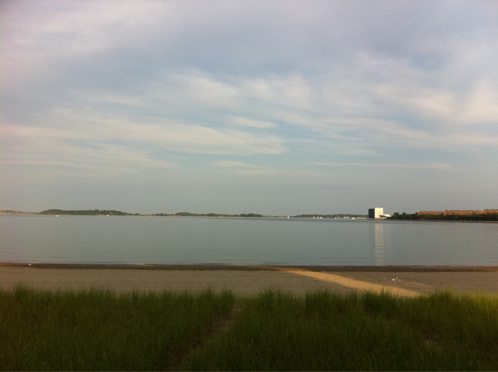 Touring the beaches of Southie